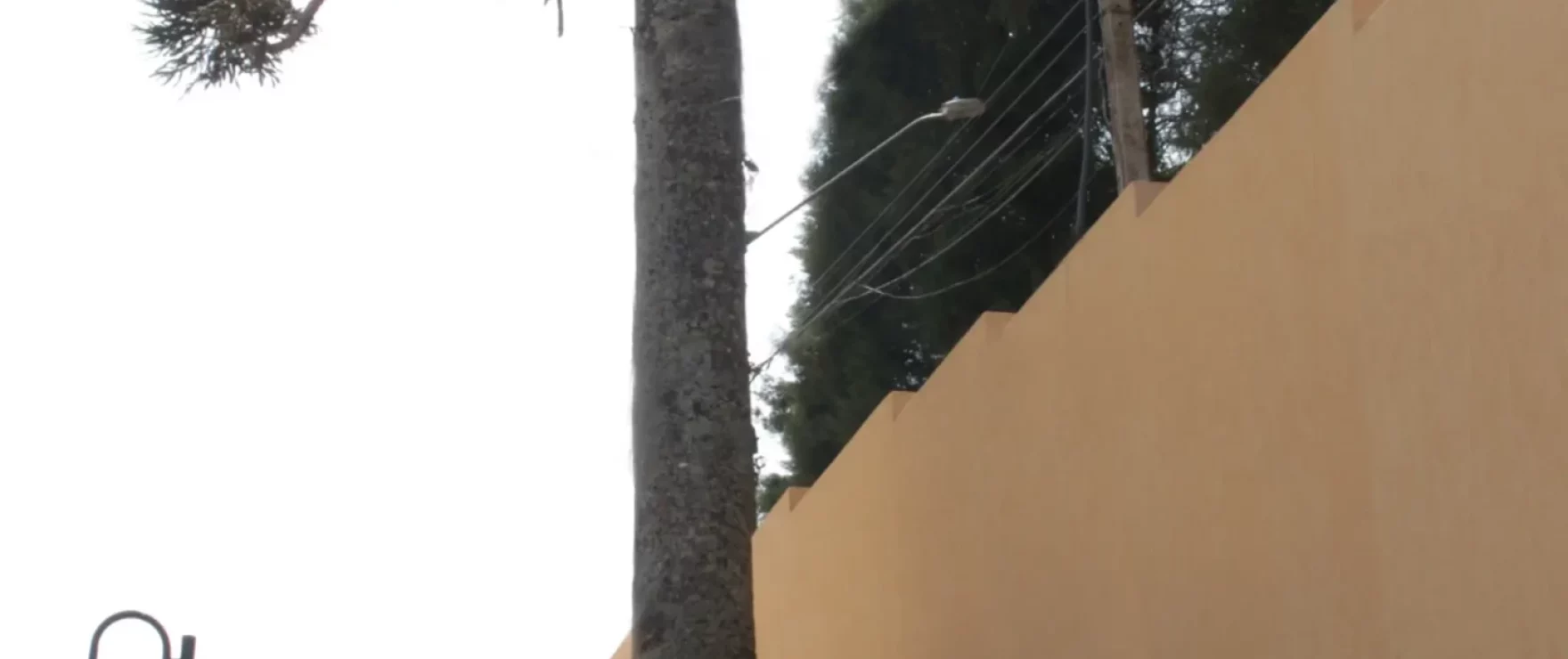 LAREIRA atenas